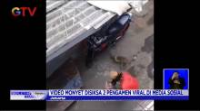 Seekor Monyet Disiksa Dua Pengamen, Videonya Viral di Medsos