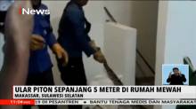 Ular Piton Sepanjang 5 Meter Berhasil Ditangkap di Dalam Rumah Mewah