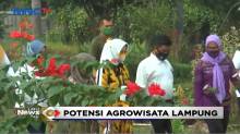 Pemprov Lampung Kembangkan PKK Agropark Jadi Wisata Edukasi Keluarga