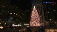 Upacara Tahunan Pencahayaan Pohon Natal Di Rockefeller Center New York
