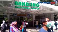 Dinkes Kota Bandung Rapid Test Antigen Pengunjung Kebun Binatang