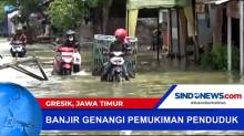 Akibat Meluapnya Sungai Lawoh, Banjir Genangi Pemukiman Penduduk di Gresik