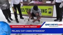 Polisi Menangkap Pelaku Cat Cabai