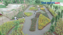 Taman 1.000 Bunga Tepi Sawah yang Indah di Pantura