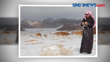 Salju Turun di Arab Saudi, Warga Berbondong-bondong ke Kota Tabuk