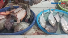 Dampak Banjir, Harga Ikan Naik di Batang, Jateng