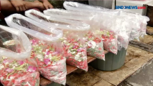 Penjual Bunga Tabur Raup Untung Jelang Ramadan