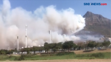 Kebakaran Hutan di Afrika Selatan, 200 Damkar Dikerahkan