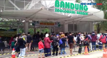 Ribuan Wisatawan Datangi Kebun Binatang Bandung