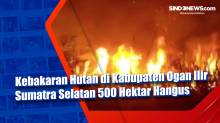 Kebakaran Hutan di Kabupaten Ogan Ilir Sumatra Selatan 500 Hektar Hangus