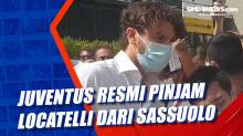 Juventus Resmi Pinjam Locatelli dari Sassuolo