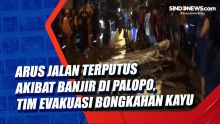 Arus Jalan Terputus akibat Banjir di Palopo, Tim Evakuasi Bongkahan Kayu