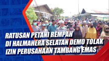 Ratusan Petani Rempah di Halmahera Selatan Demo Tolak Izin Perusahaan Tambang Emas