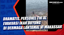 Dramatis, Personel TNI AL Evakuasi Ikan Duyung di Dermaga Lantamal VI Makassar