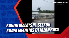 Banjir Malaysia, Seekor Buaya Melintas di Jalan Raya