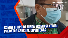 Komisi III DPR RI Minta Eksekusi Kebiri Predator Seksual Dipertegas