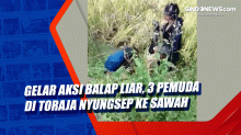 Gelar Aksi Balap Liar, 3 Pemuda di Toraja Nyungsep ke Sawah