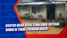 Diguyur Hujan Deras Semalaman, Ratusan Rumah di Tuban Terendam Banjir