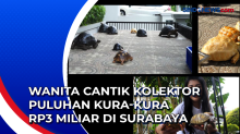 Wanita Cantik Kolektor Puluhan Kura-kura Bernilai hingga Rp3 Miliar di Surabaya