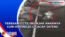 Terekam CCTV, Ibu Ajak Anaknya Curi Kucing di Cilacap Jateng