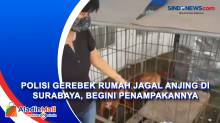 Polisi Gerebek Rumah Jagal Anjing di Surabaya, Begini Penampakannya