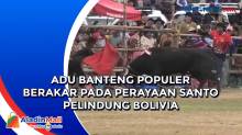 Adu Banteng Populer Berakar Pada Perayaan Santo Pelindung Bolivia