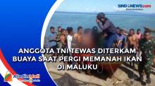 Anggota TNI Tewas Diterkam Buaya saat Pergi Memanah Ikan di Maluku