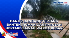 Banjir Bandang Terjang Banten, Rumah dan Ratusan Hektare Sawah Warga Rusak