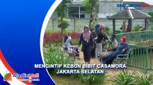 Mengintip Kebun Bibit Casamora Jakarta Selatan