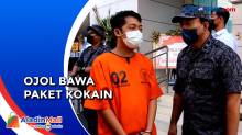 Pengemudi Ojol Ditangkap BNNP Bali Usai Ambil Paket Berisi Kokain