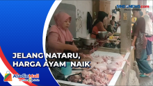 Jelang Nataru, Harga Ayam Potong di Kabupaten Cirebon Naik