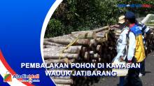 Curi Pohon di Wilayah Hijau Waduk Jatibarang, Polrestabes Semarang Tangkap 15 Pelaku