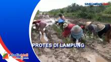Tak Kunjung Diperbaiki, Emak-Emak di Lampung Tanami Jalan Rusak dengan Padi