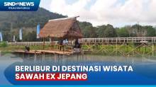 Serunya Berlibur di Destinasi Wisata Sawah Ex Jepang di Belitung Timur