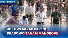 Jokowi Akrab Bareng Prabowo Nyebur Tanam Mangrove di Taman Wisata Angke
