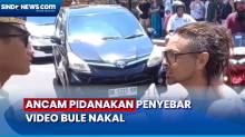 Gubernur dan Kapolda Bali Minta Warga Tak Viralkan Kelakuan Bule Nakal di Bali