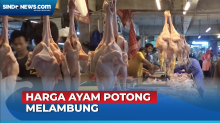 Harga Ayam Potong di Bandung Melambung Jelang Iduladha