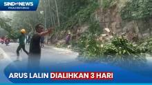 Penebangan Pohon, Arus  Lalin di Cikakak Sukabumi Dialihkan 3 Hari