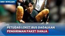 Aksi Heroik Petugas Loket Bus di Mandailing Natal Gagalkan Pengiriman Paket Ganja Tujuan Jakarta