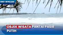 Nikmati Indahnya Panorama Pasir Putih di Pantai Bana, Lampung