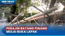 Mulai Marak di Jakarta, Perajin Pohon Pinang Pajang Dagangan