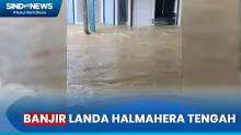 Banjir Parah Landa Halmahera Tengah, Ratusan Rumah Terendam