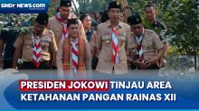 Sempat Dialog dengan Anggota Pramuka, Presiden Jokowi Tinjau Area Ketahanan Pangan di Rainas XII