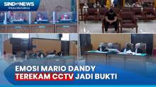 Jadi Bukti Tak Terbantahkan, Jaksa Ungkap Emosi Mario Dandy Terekam CCTV