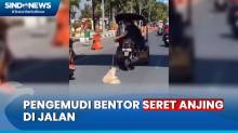 Heboh! Pengemudi Bentor Seret Anjing di Aspal Kota Makassar, Pecinta Hewan Lapor Polisi