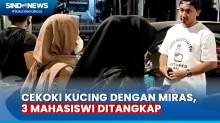 Nekat Cekoki Kucing dengan Miras, 3 Mahasiswi Ditangkap Polisi di Padang