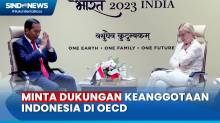 Pertemuan Jokowi dan PM Italia Meloni, Minta Dukungan Keanggotaan Indonesia di OECD