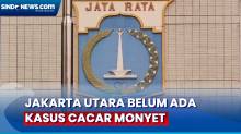 Kemenkes Mencatat, dari 12 Kasus Cacar Monyet, 6 Ditemukan di DKI Jakarta