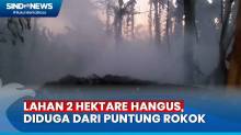 Diduga Akibat Puntung Rokok Dibuang Sembarangan, 2 Hektare Lahan Terbakar di Cipayung