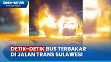 Bus Angkut Penumpang Terbakar  di Jalan Trans Sulawesi, Picu Kepanikan